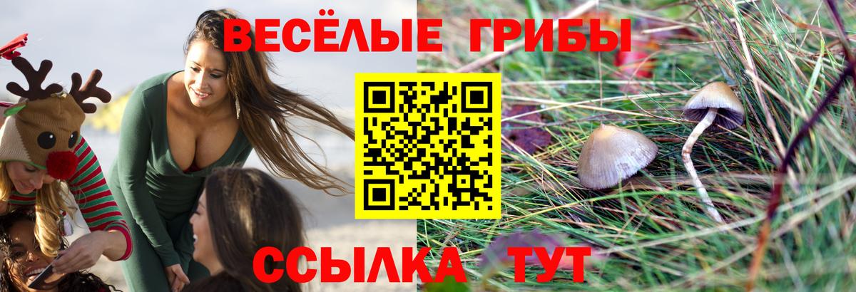 Псилоцибиновые грибы ЛСД  Вход с VPN  Черняховск  Псилоцибиновые грибы MAGIC MUSHROOMS 